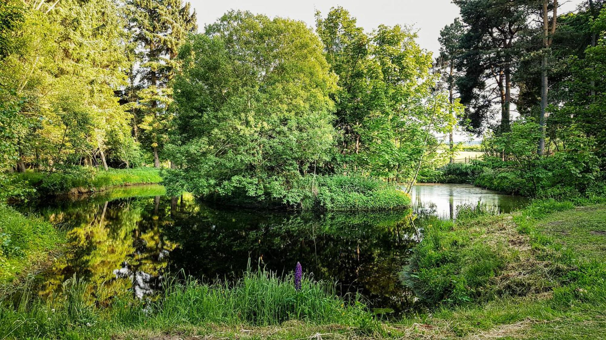 Marcassie Farm Lodges - Blackthorn Studio Forres Luaran gambar