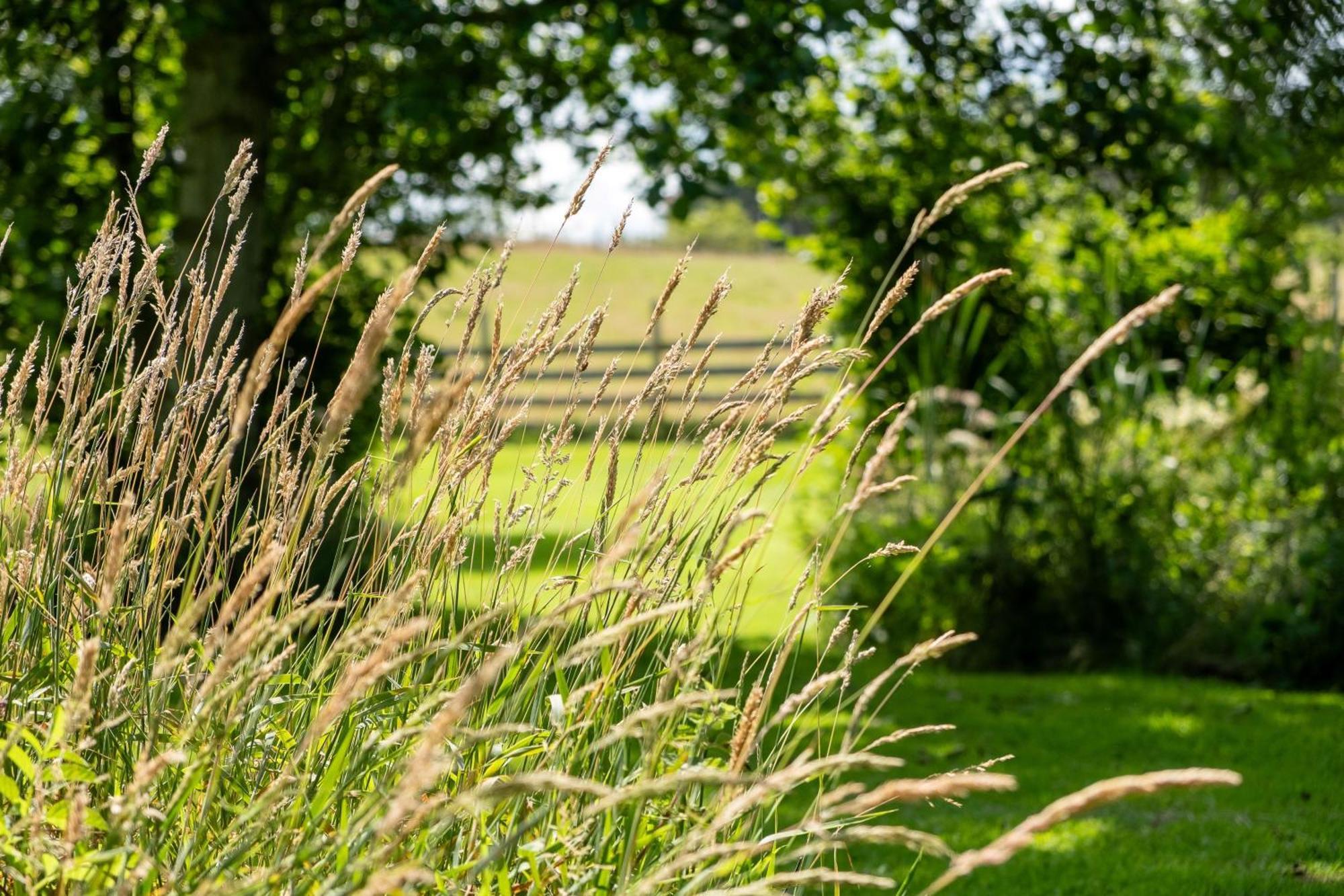 Marcassie Farm Lodges - Blackthorn Studio Forres Luaran gambar